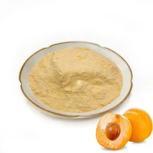 Direct Sale High Purity Apricot Powder Herbal Extract Water Based for Functional Foods Drum Bottle Packaging