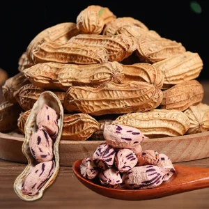 Directly Supplied Yunnan Colorful Peanuts Raw and Sun Dried Wild Peanuts Origin Directly Supplied Colorful Peanuts