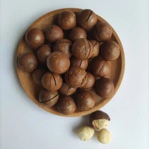 Dried Macadamia Nuts High Quality Roasted Prices