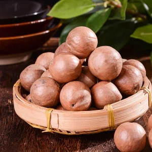 Dried Shell Macadamia Nuts Sweet Milky Flavor Class 25kg Carton OEM Brand Shandong Origin No Ingredients 1 Year Shelf Life DYTD
