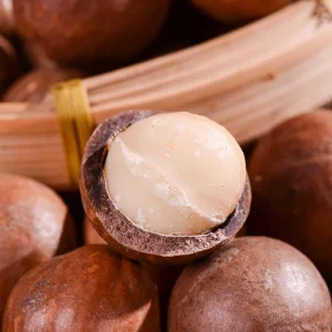 Dried Shell Macadamia Nuts Sweet Milky Flavor Grade a 25kg Carton OEM Brand Shandong Origin Food