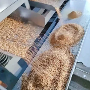 Dry Dates Cutting Machine Almond Nuts Chopper Chestnut Chopping Machine Macadamia Peanut Nuts Soybean Chopper