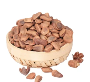 Edible Pine Seeds with Shells Pinoli Pignoli Nuts