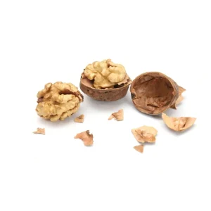 Excellent Quality Walnut Kernel Best Grade Organic Raw Walnut High Grade Walnuts in Shell