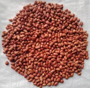 Factory Direct Sales Bulk Red Skin Chinese Raw Peanuts Kernel Without Shell Great for Snacks