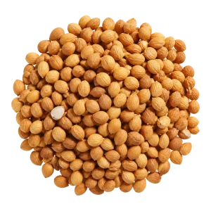 Factory Direct Supply Selected Quality Dried Pruni Semen Yu Li Ren for Health Herbal Laxative and Diuretic