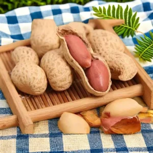 Factory Directly Dried Roasted Peanuts Groundnut in Shell Snack Use Peanut