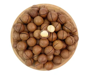 Factory High Quality 100% Natural Macadamia Nut China Macadamia Nuts for Sale