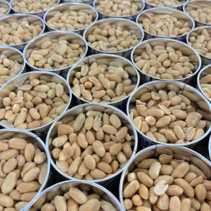 Factory Low Price Roasted Salted Unsalted Peanuts 150g Dried Snack Nuts in Can for Supermarket Chains