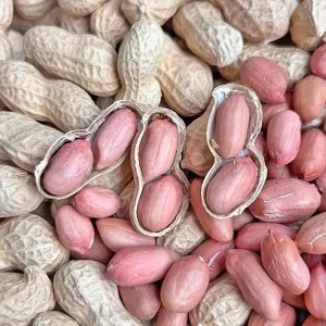 Factory Natural Dried Peanuts in Shell No Additives Healthy Snack