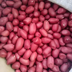 Factory Organic Raw Dried Red-skinned Peanuts High Quality 25kg Packaging Large Quantities Available
