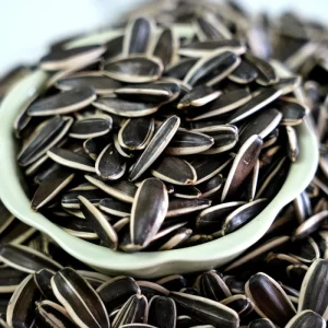 Factory Organic Raw Dried Sunflower Kernels Large Size High Quality Price