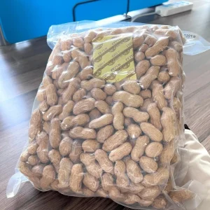 Factory Price 100% Natural Roasted Peanuts in Shell High Quality Dried Snack Food HACCP ISO Halal Certified Shandong Origin