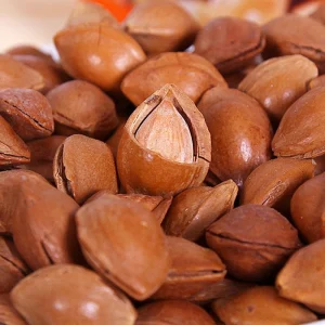 Factory Price Almonds With Skin High Nutritional Value Health Food Snack Dried Nuts Available for Bulk Export Raw Processing