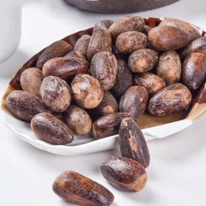 Factory Price Long Semen Myristicae Nuts Dry Single Spices Seasoning Dried Whole Nutmeg with Shell