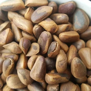 Factory Price Organic Pine Nuts
