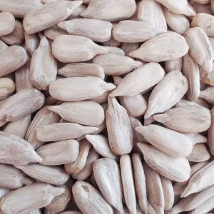 Factory Price Sunflower Seeds Kernel Iraq Sunflower Seeds Kernels