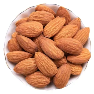 Factory Supply Apricot Kernels Premium Quality Nuts Fruit Dried Almond Nuts
