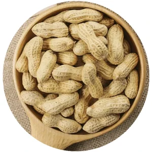 Factory Supply HACCP Certified Kosher Chinese Grade a Frozen Peanuts in Shell IQF with 24 Months Shelf Life