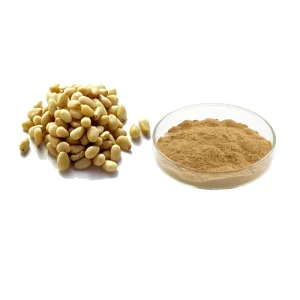 Factory Supply Natural Pine Nuts Extract Powder Pinus Koraiensis Sieb. Et Zucc Extract 10 1