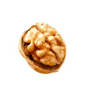 Factory Supply Price Thin Shell 185 Walnut