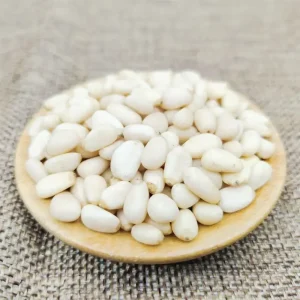 Free Sample Raw Pine Nuts Organic Pine Nuts