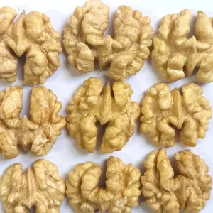 Free Sample Walnut Kernels Head Road Walnut Kernels