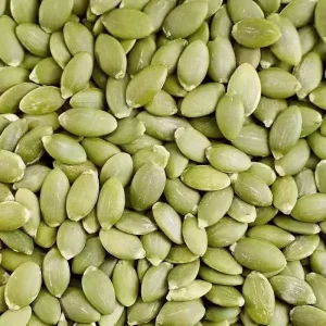 Free Samples Seeds Pumpkin Pumpkin Seeds