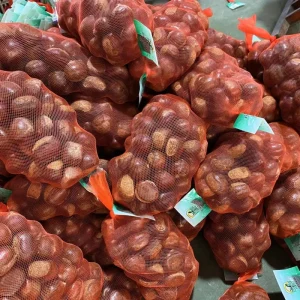 Fresh Chinese Chestnuts Peeled and Roasted Factory Supply From China at Prices for Import