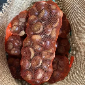 Fresh Chinese Chestnuts a Grade Peeled and Bagged Factory Supply From China for Food Import