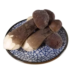 Fresh Cultivated Black Royal Chestnut Collybia Albuminosa Mushroom