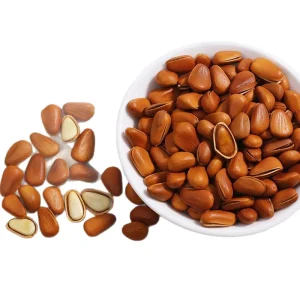 Fresh Pine Nuts Grade A++ OEM Service 2 Year Shelf Life Carton Packaging Shandong Origin Qingdao Model SZ01 Food Snacks