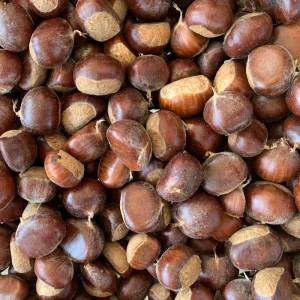 Fresh Raw Chestnuts Bulk High Quality Sweet Natural Flavor Protein Fiber-Rich Snacking Cooking Grade a Shandong China