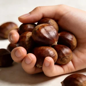 Fresh Raw Chestnuts Large Size 50kg gunny bag
