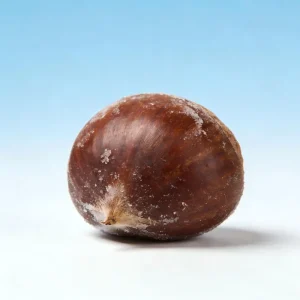 Frozen Chinese Chestnuts Peeled Shelled Organic Certified for Baking & Cooking Bulk Supply
