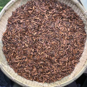 Golden Melon Seeds and Dried Hibiscus Fruit Thousand Foot Tree Source Raw Food Bulk Packaging