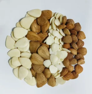 Good Tast Apricot Kernel Bitter and Sweet Apricot Kernels Extract Nuts for Sale