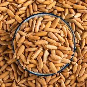 Hand Sorted Cracked Pine Nuts Clean No Crumbles for Snacks Family Consumption