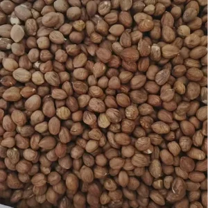 Hazelnut Kernels