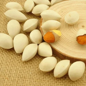 Healthy Dried Ginkgo Nuts with Shell Ginkgo Fruit Chinese Traditional Herb