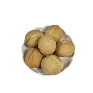 Healthy High Quality Walnuts Manchurian Walnut Price