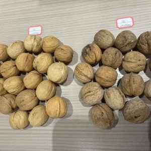Healthy Organic Shelled Raw Brown Walnut Kernels Dried Food Grade Nutrition Ready to Eat Walnut