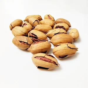 Healthy Snacks Roasted Bulk Herbal Flavor Pecan Nuts in Shell