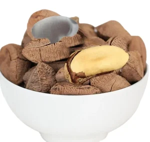 High Grade Unsalted Raw Whole Brazil Nuts in Shell Fruits for Nutrition Food