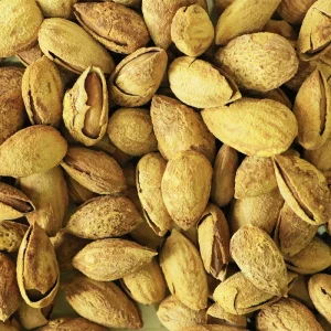 High Quality California Almonds Nuts Fresh Stock in Bulk Wholesome Sweet Taste Dried Process Prices
