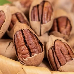 High Quality China Pecan Nut Pecan Nuts