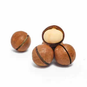 High Quality Dried China Organic Macadamia Nuts