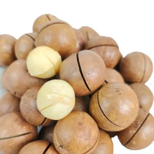 High Quality Dried Chinese Macadamia Nuts Roasted