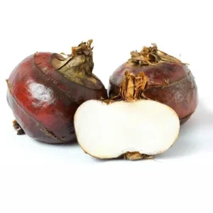High Quality Fresh Bulk Water Chestnut