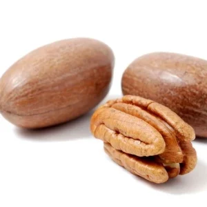 High Quality Fresh Peru Pecan Nuts
